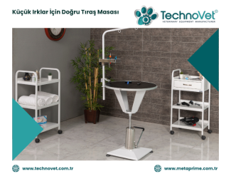 Küçük Irk Köpekler İçin Tıraş Masası Nasıl Olmalı?