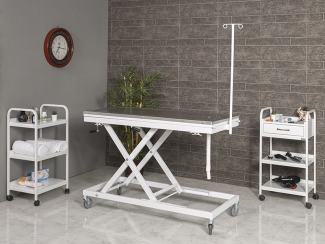 Pet Grooming Malzemeleri Temel Araçlar ve Kullanım Amaçları