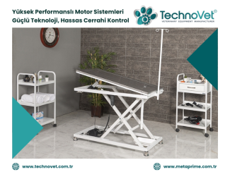 Veteriner Ameliyat Masasında Motor Performansı Nasıl Değerlendirilir?