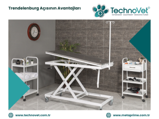 Veteriner Ameliyat Masasında Trendelenburg Açısı Ne İşe Yarar?
