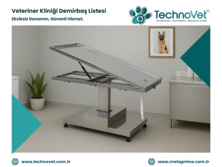 Veteriner Kliniği Demirbaş Listesi Nasıl Hazırlanır?