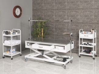 Veteriner Kliniği İçin En Uygun Veteriner Muayene Masası Nasıl Seçilir?