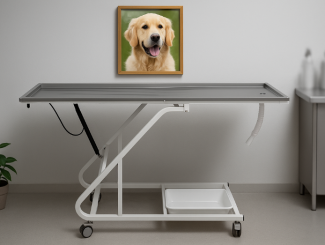 Veteriner Malzemesi Kalitesi Klinik Başarısını Nasıl Etkiler?