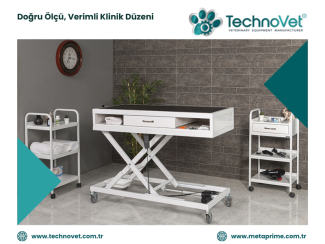 Veteriner Muayene Masası Ölçüleri Klinik Planlamasını Nasıl Etkiler?