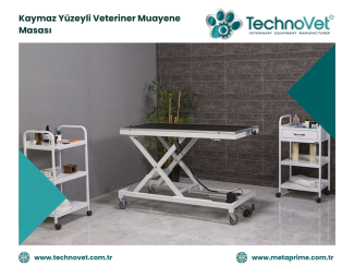 Veteriner Muayene Masasında Kaymaz Yüzey Neden Kullanılır?