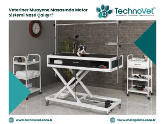 Veteriner Muayene Masasında Motor Sistemi Nasıl Çalışır?