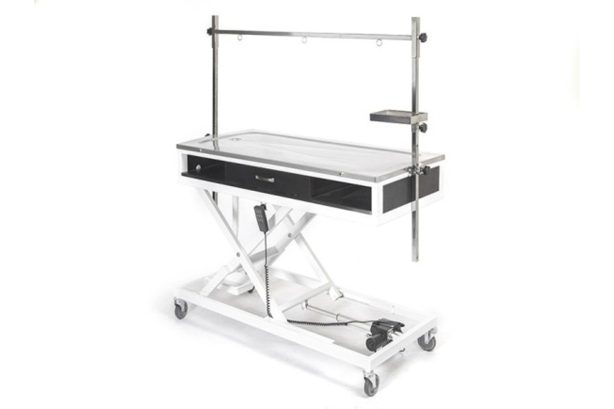 Veteriner Ameliyat ve Operasyon Masası | TechnoVet-2110