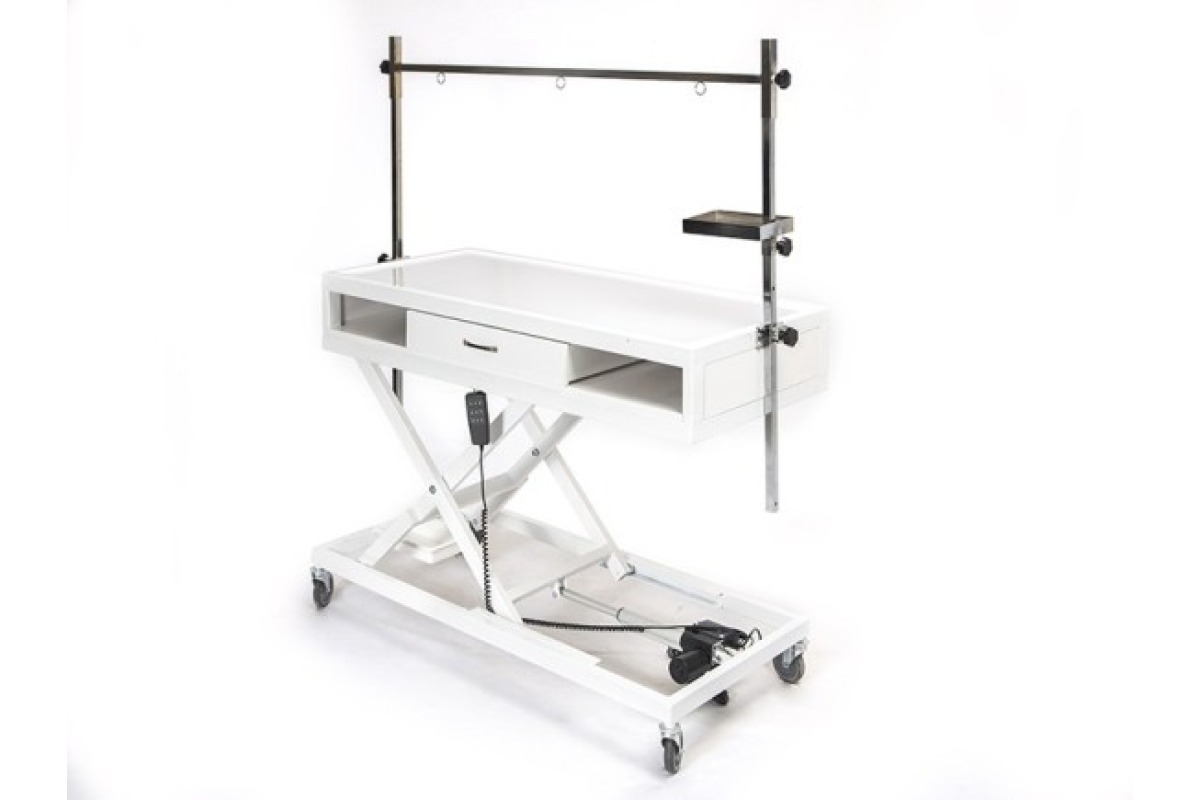 Veteriner Röntgen X-Ray Masası | TechnoVet-2203