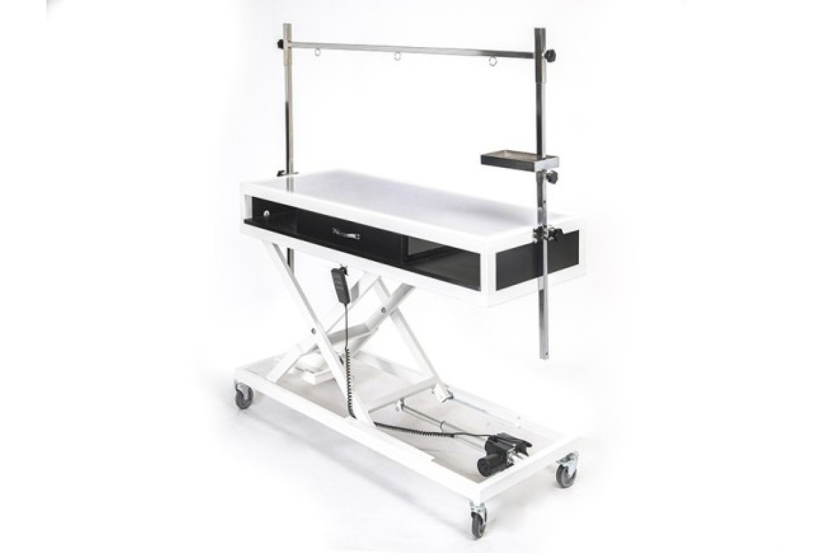 Veteriner Röntgen X-Ray Masası | TechnoVet-2204